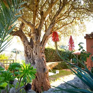 izzhome-ulivo.sicilyhotelsitaly.net/
